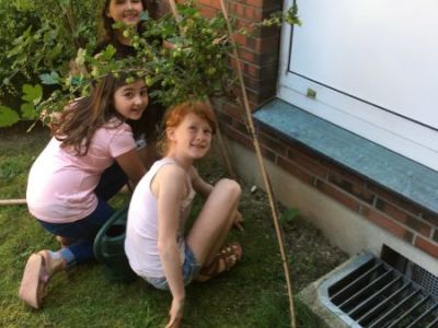 Ella, Ameyra und Jola wühlen unter den Beeren.